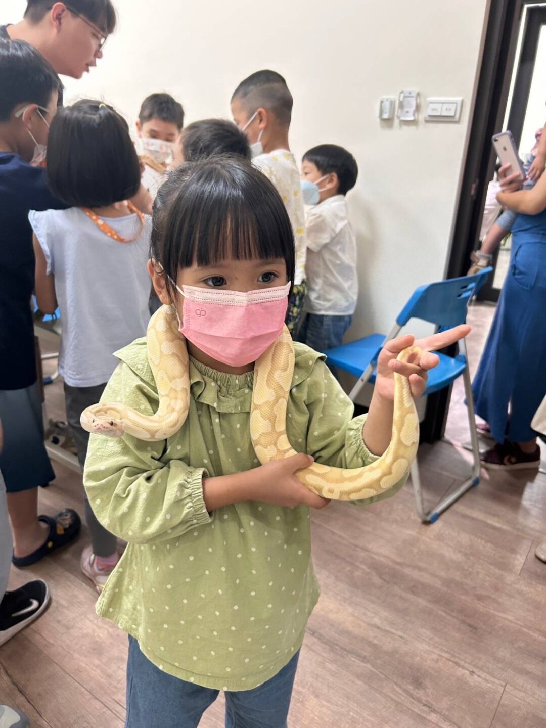 甲蟲｜爬蟲玩創意  2小時親子動物手做課：圖片 15