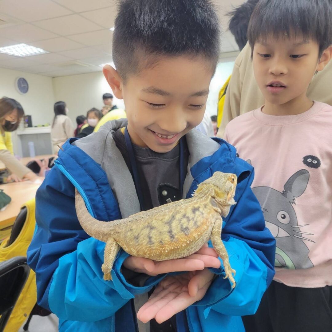 甲蟲｜爬蟲玩創意  2小時親子動物手做課：圖片 13