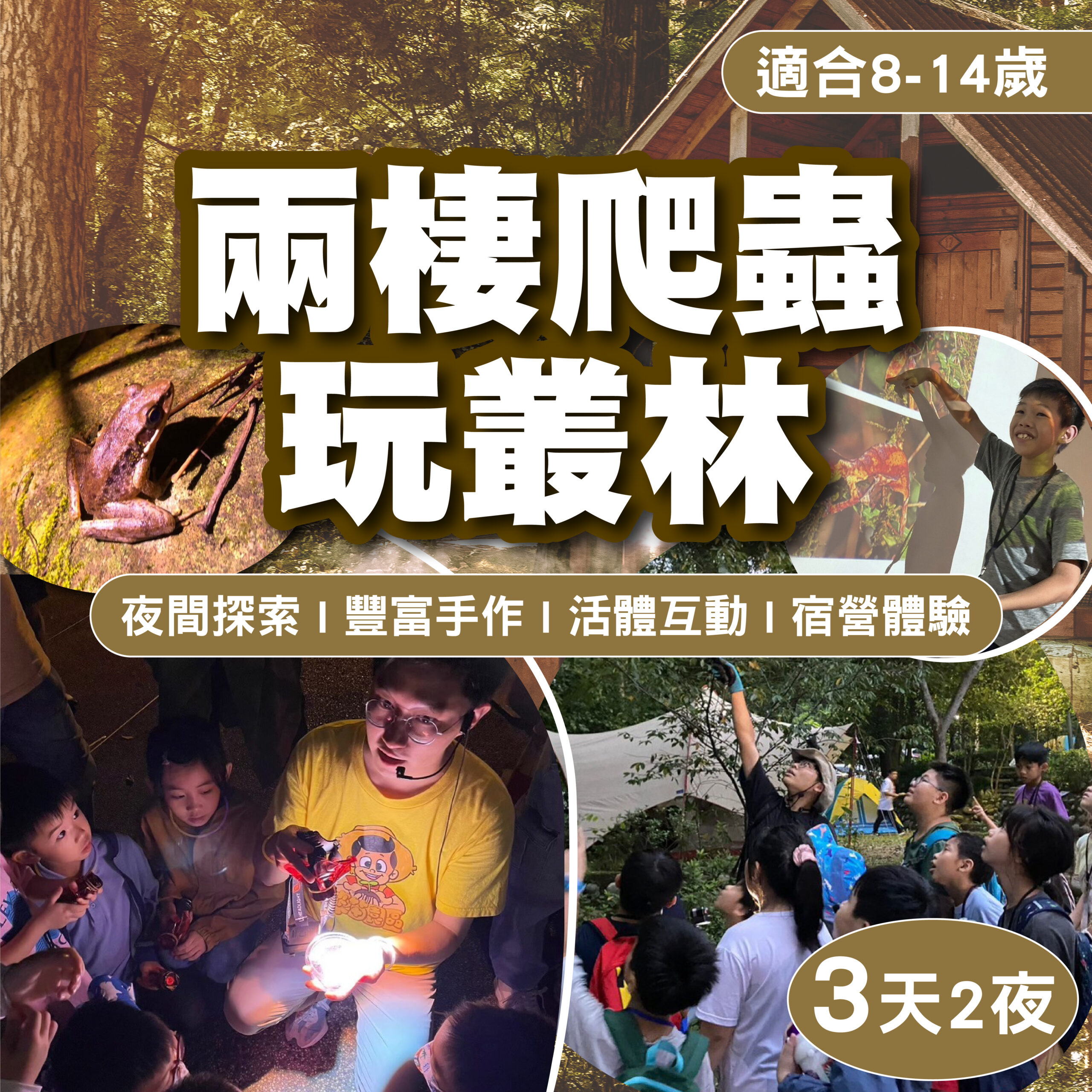兩棲爬蟲玩叢林(三天兩夜):北部場