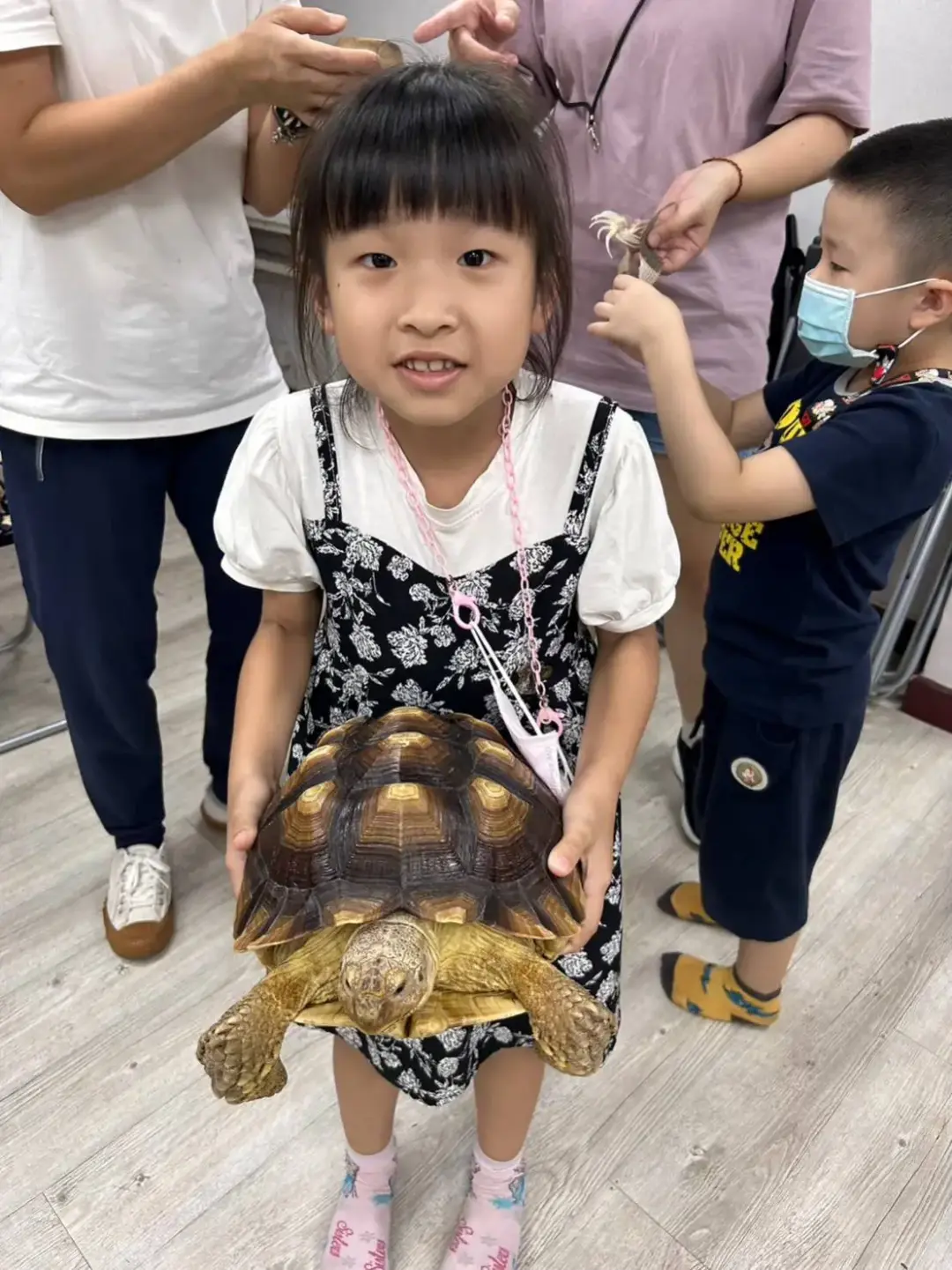 甲蟲｜爬蟲玩創意  2小時親子動物手做課：圖片 7
