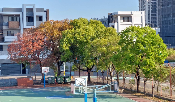 東光3