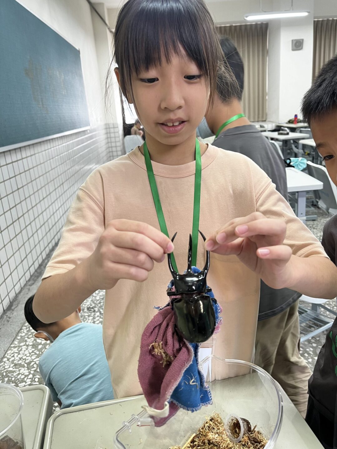 甲蟲｜爬蟲玩創意  2小時親子動物手做課：圖片 4