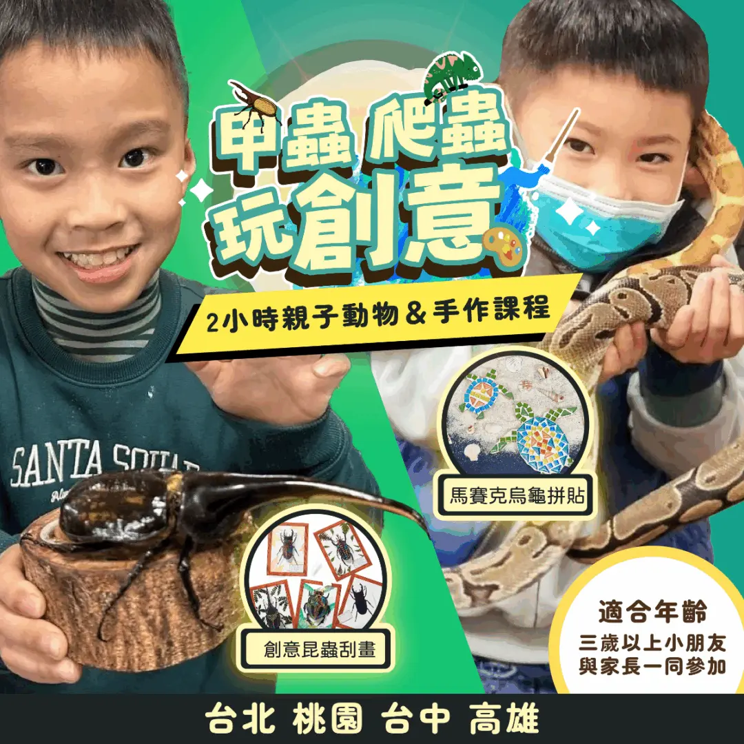 甲蟲｜爬蟲玩創意  2小時親子動物手做課